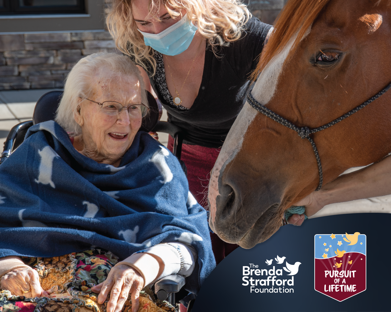 A Horse Visit: Isabel's Wish