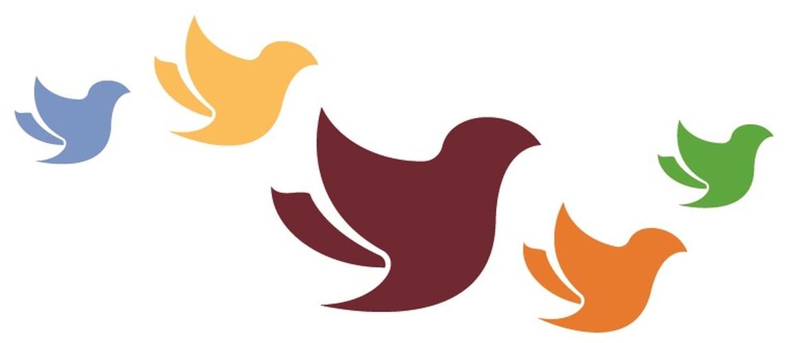 COVID-19 Family & Visitor Bulletin: Risk Assessment Survey Results & Visiting Reminders