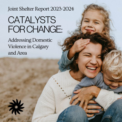 Catalysts for Change: Addressing Domestic Violence in Calgary and Area â€“ Joint Shelter Report